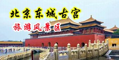 啊啊啊,鸡巴大,水多,好舒服视频中国北京-东城古宫旅游风景区